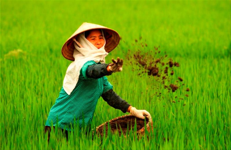 Nguyên tắc 