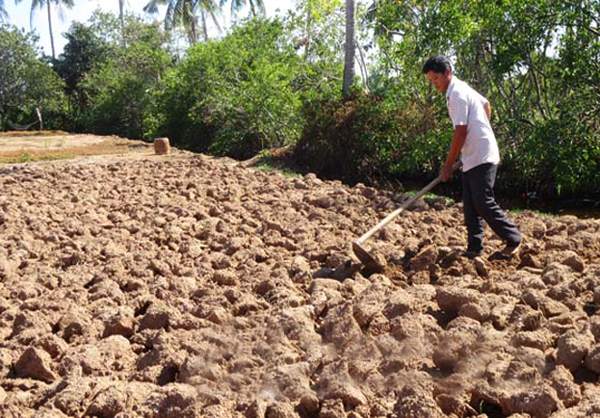 Tác Hại Của Việc Lạm Dụng Phân Bón Hóa Học Và Cách Khắc Phục Chai Đất