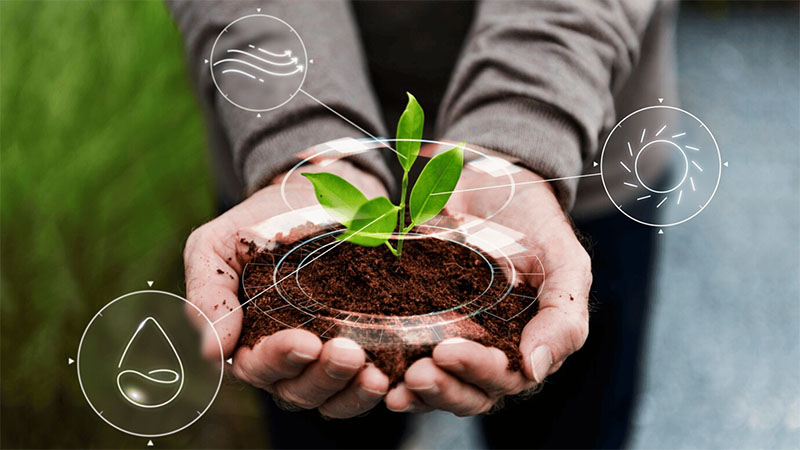 Vai Trò Của Các Nguyên Tố Đa Trung Vi Lượng Đối Với Cây Trồng